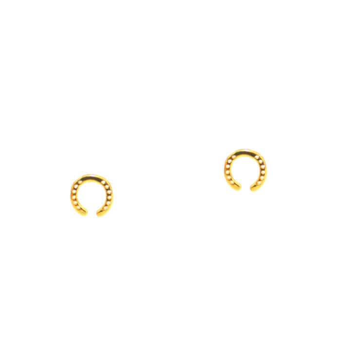 Horseshoe post earring